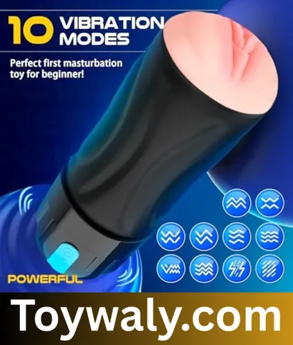 pocket pussy sex toy in pakistan